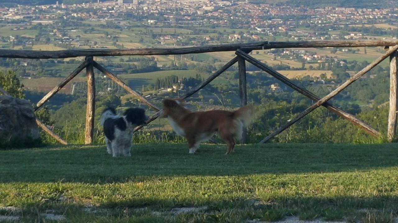 Agriturismo Countryhouse Le Giare Gubbio Zewnętrze zdjęcie