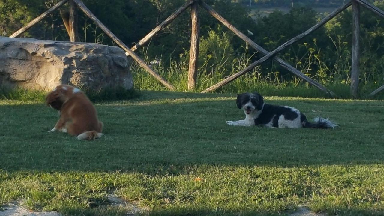Agriturismo Countryhouse Le Giare Gubbio Zewnętrze zdjęcie